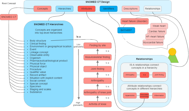 What Is SNOMED CT – An Introduction